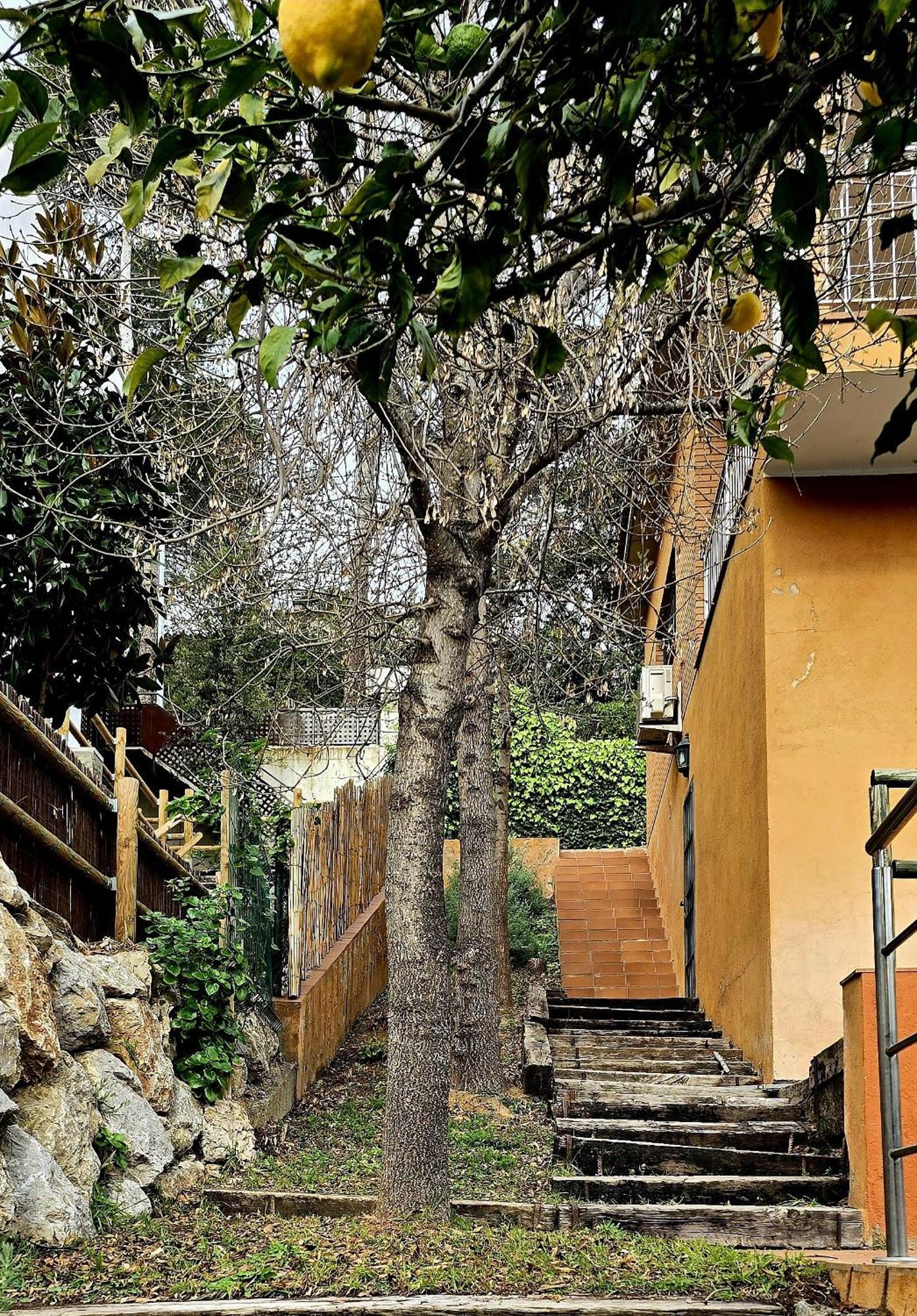 Villa Cal Nene - Plamun Es à Begur Extérieur photo